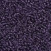 MIYUKI Round Rocailles Beads X-SEED-G007-RR0157-3
