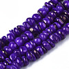 Natural Trochid Shell/Trochus Shell Beads Strands SHEL-S258-081-B02-1