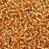 TOHO 8/0 Round Beads SEED-TR08-0022B-2
