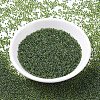 MIYUKI Round Rocailles Beads X-SEED-G007-RR0350-3