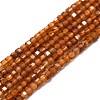 Natural Garnet Beads Strands G-P457-B01-18-1