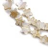 Drawbench Style Natural Freshwater Shell Beads Strands BSHE-E028-04-3