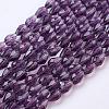 Glass Beads Strands GLAA-R024-6x4mm-2-1