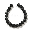 Dyed & Heated Natural Black Agate Beads Strands G-P088-14-10mm-5