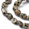 Natural Dalmatian Jasper Beads Strands X-G-B039-03A-3