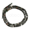 Natural African Bloodstone Beads Strands G-Z110-A31-2x4mm-3