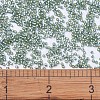 MIYUKI Delica Beads SEED-MY11-DB0689-4