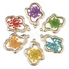 Epoxy Resin Pendants RESI-T045-028-1