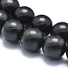 Natural Shungite Beads Strands G-M353-A04-10mm-3