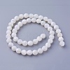 Shell Beads Strands SSHEL-E571-38-8mm-2