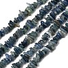 Natural Kyanite/Cyanite/Disthene Chip Beads Strands G-E271-78-2