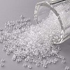 Clear 11/0 FGB Grade A Round Transparent Glass Seed Beads X-SEED-Q006-F04-1