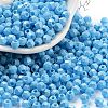 Baking Paint Glass Seed Beads SEED-A032-02G-1