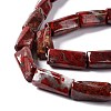 Natural Brecciated Jasper Beads Strands G-L240-14-4
