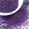 MIYUKI Round Rocailles Beads X-SEED-G007-RR0352-1