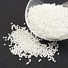 FGB 12/0 Grade A Round Glass Seed Beads SEED-A022-FC12-401-1