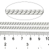 Spray Painted 304 Stainless Steel Curb Chains STAS-B067-05B-09-2