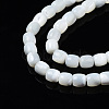 Natural Trochid Shell/Trochus Shell Beads Strands SSHEL-N034-121-B01-3