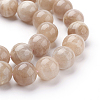 Natural Sunstone Beads Strands G-G099-10mm-14-3