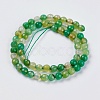 Natural Agate Beads Strands G-G580-6mm-M-2