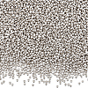 100G 12/0 Glass Seed Beads SEED-SP0001-12A-02-1