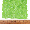 Stretch Elastic Lace Trim OCOR-TAC0006-02K-6