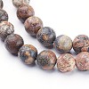 15~16 inch Round Gemstone Strand X-GSR066-2