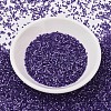 MIYUKI Delica Beads SEED-J020-DB1810-2