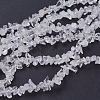 Quartz Crystal Chips Beads Strands G-D283-3x5-2-1