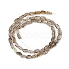 Natural Smoky Quartz Beads Strands G-H085-D01-01-3