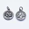 Brass Micro Pave Clear Cubic Zirconia Charms ZIRC-J040-10B-NR-2