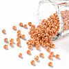 8/0 Glass Seed Beads SEED-A012-3mm-130-1