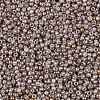 TOHO Round Seed Beads SEED-XTR11-1700-2