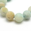 Frosted Natural Flower Amazonite Round Bead Strands G-M064-12mm-07-2