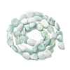 Natural Glass Beads Strands G-K395-A02-02-3