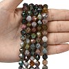 Natural Indian Agate Beads Strands G-Z119-A29-02-2