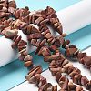 Natural Petrified Wood Beads Strands G-M205-89-4
