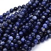 Round Natural Sodalite Beads Strands X-G-F222-39-6mm-1