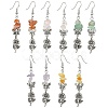 Natural Mixed Stone Chip Dangle Earrings Set for Women EJEW-JE06248-2