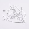Iron Eye Pin EPS5.0cm-1