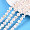 Natural Cultured Freshwater Pearl Beads Strands PEAR-N016-09B-1