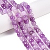 Dyed Natural White Jade Beads Strands G-T138-D03-1