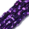 Natural Trochus Shell Beads Strands SHEL-S278-027A-1