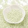 Baking Paint Glass Seed Beads X-SEED-S042-05B-63-2