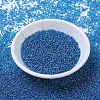 MIYUKI Round Rocailles Beads SEED-X0054-RR0291-2