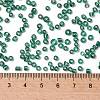 8/0 Glass Seed Beads SEED-A005-3mm-50A-6