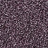 MIYUKI Delica Beads SEED-J020-DB0462-2