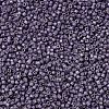 MIYUKI Delica Beads X-SEED-J020-DB1174-2