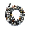 Natural Eagle Eye Stone Beads Strands G-K245-A09-04-2