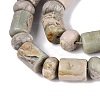 Natural Variscite Beads Strands G-Q616-09J-4